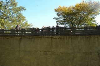 DSC_0407 (1600x1064)